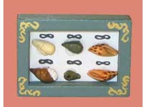 Euromini's Schelpen collectie