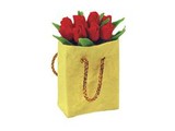 Euromini's Tas met rode tulpen