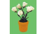 Euromini's Witte rozen in pot