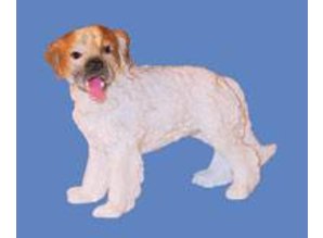 Euromini's Cavelier King Charles Spaniel