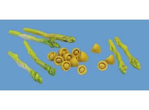 Euromini's Champions per 12 + asperges per 6