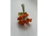 Euromini's EM5308 Bloemen oranje